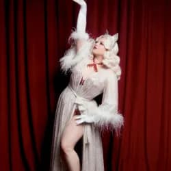 Feerie cabaret show