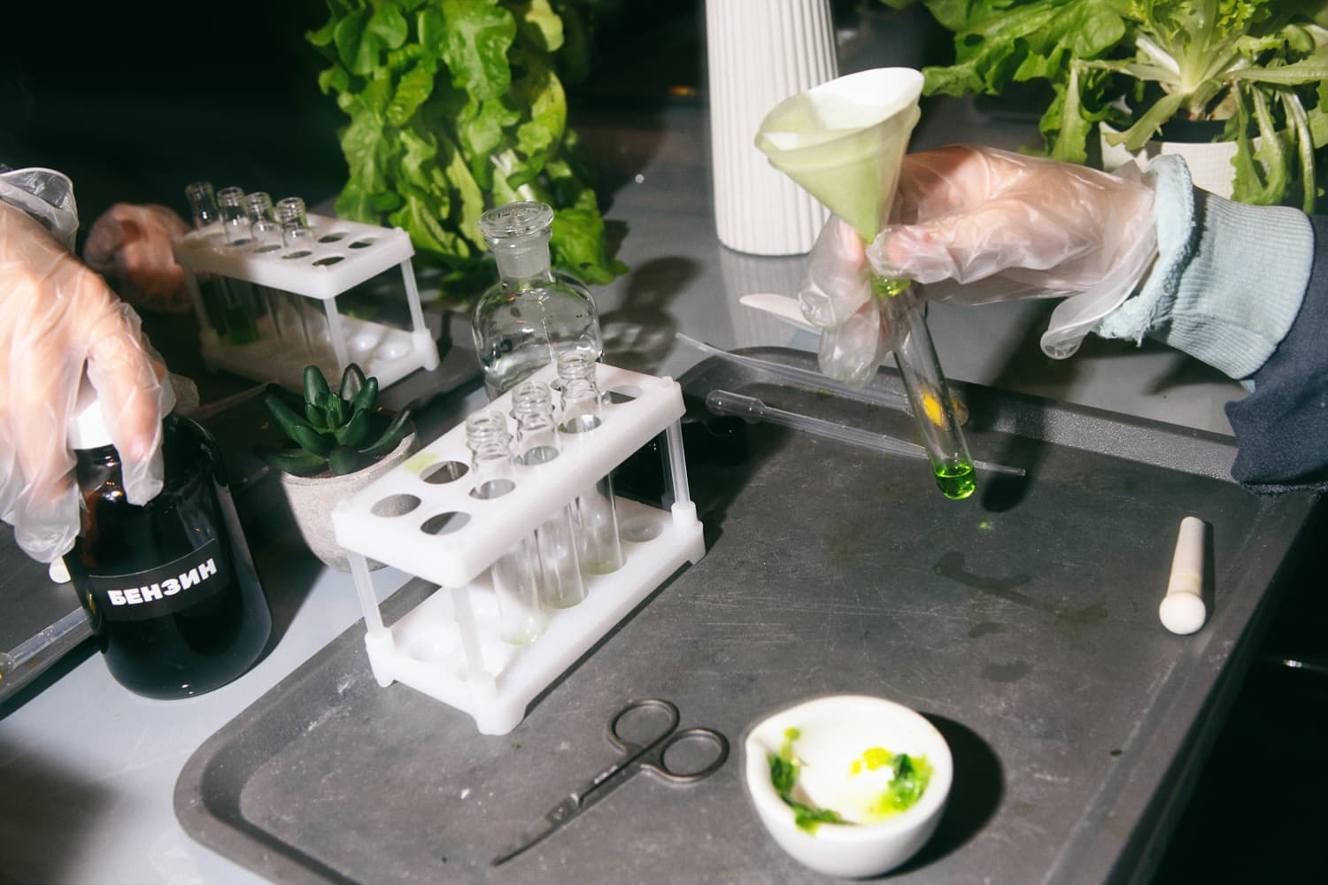 Биологические эксперименты (Частная школа Top IT)