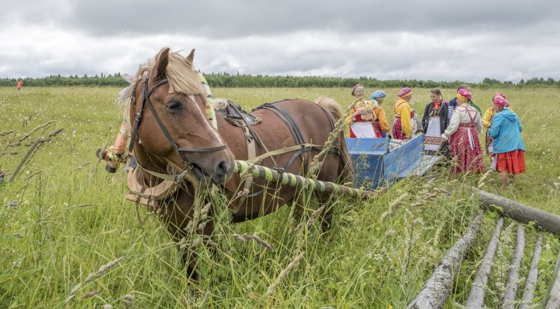 Сею-вею, посеваю (Губерния)