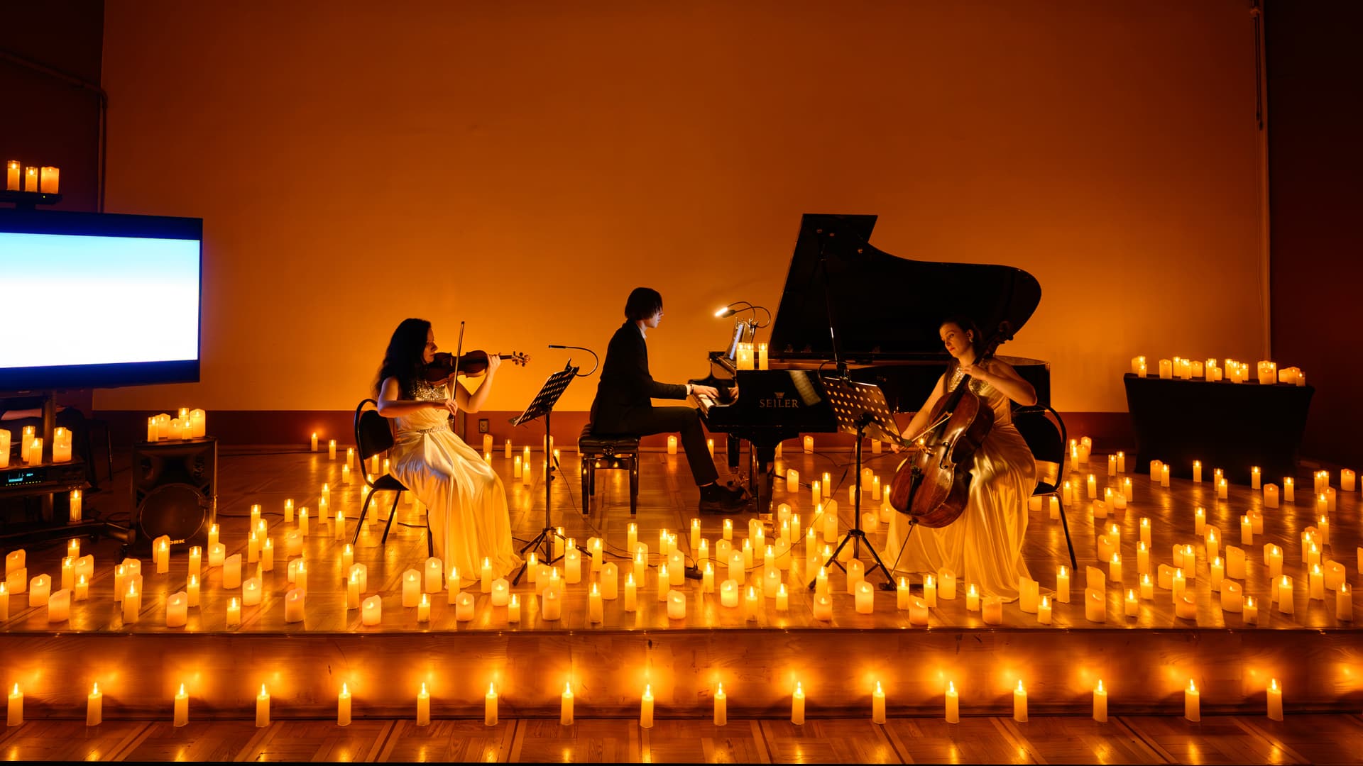 Классика при свечах. Фредерик Шопен & Ференц Лист (Музей Николая Островского)