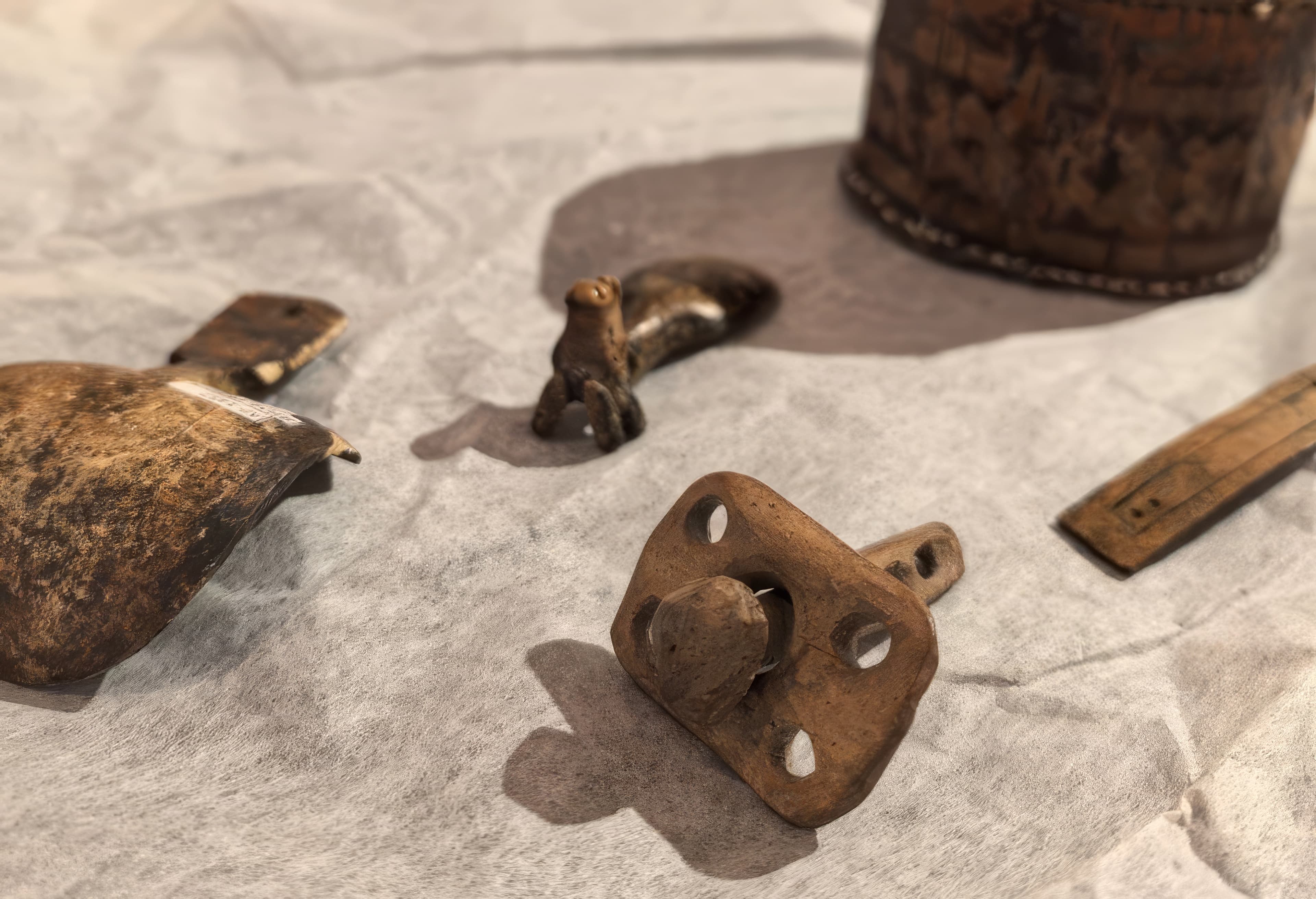 40000 лет и зим. Долгий сон мамонтенка Любы (Краеведческий музей им. Шатилова)