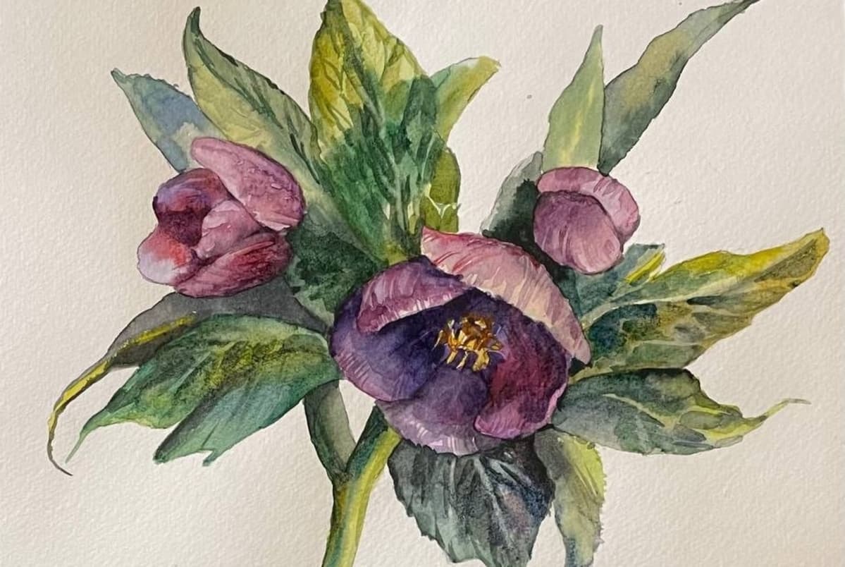 Акварельная ботаника (Cabinet Abstract)