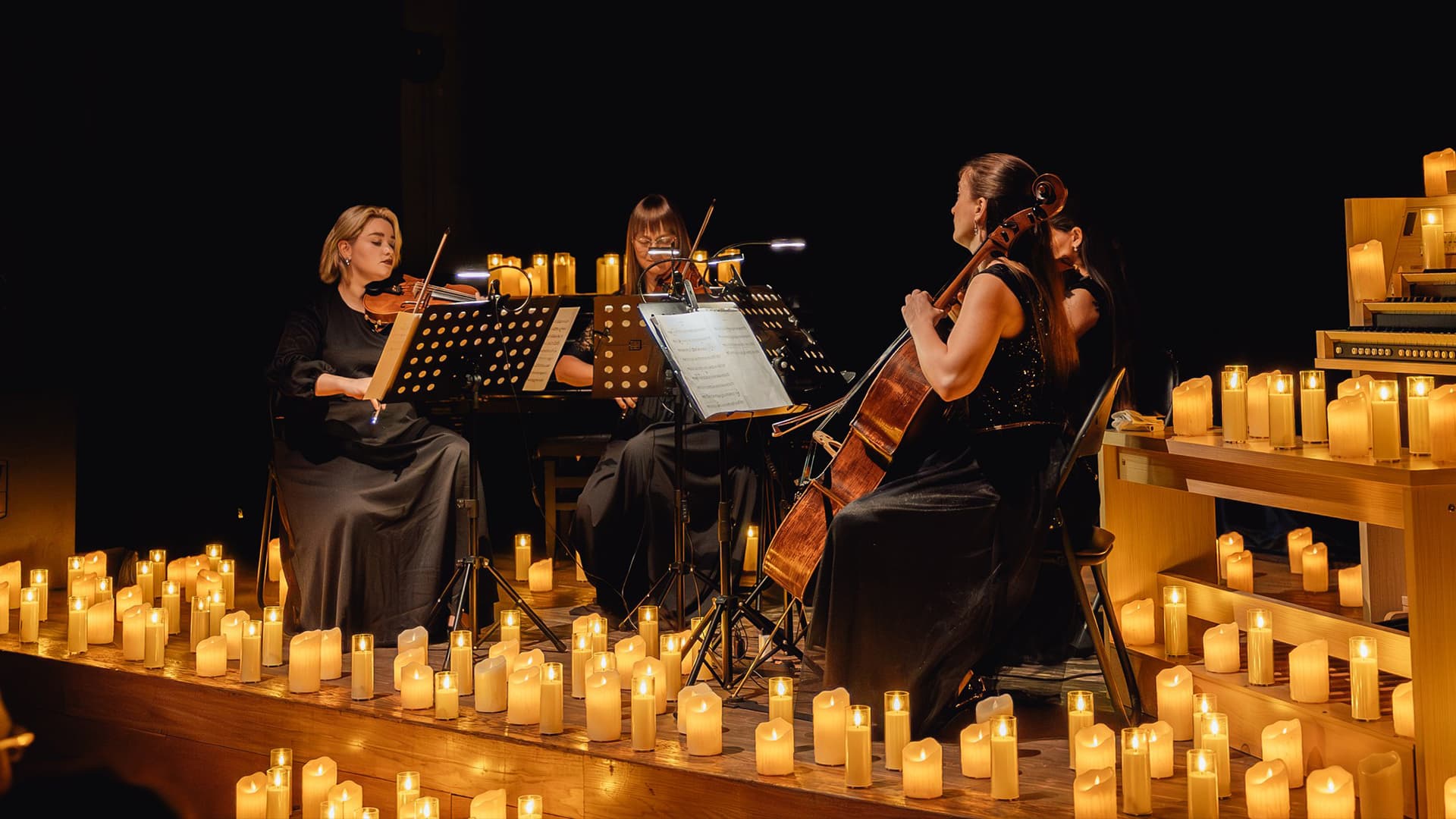 Концерт при свечах. Времена года. Вивальди (Музей Пушкина)