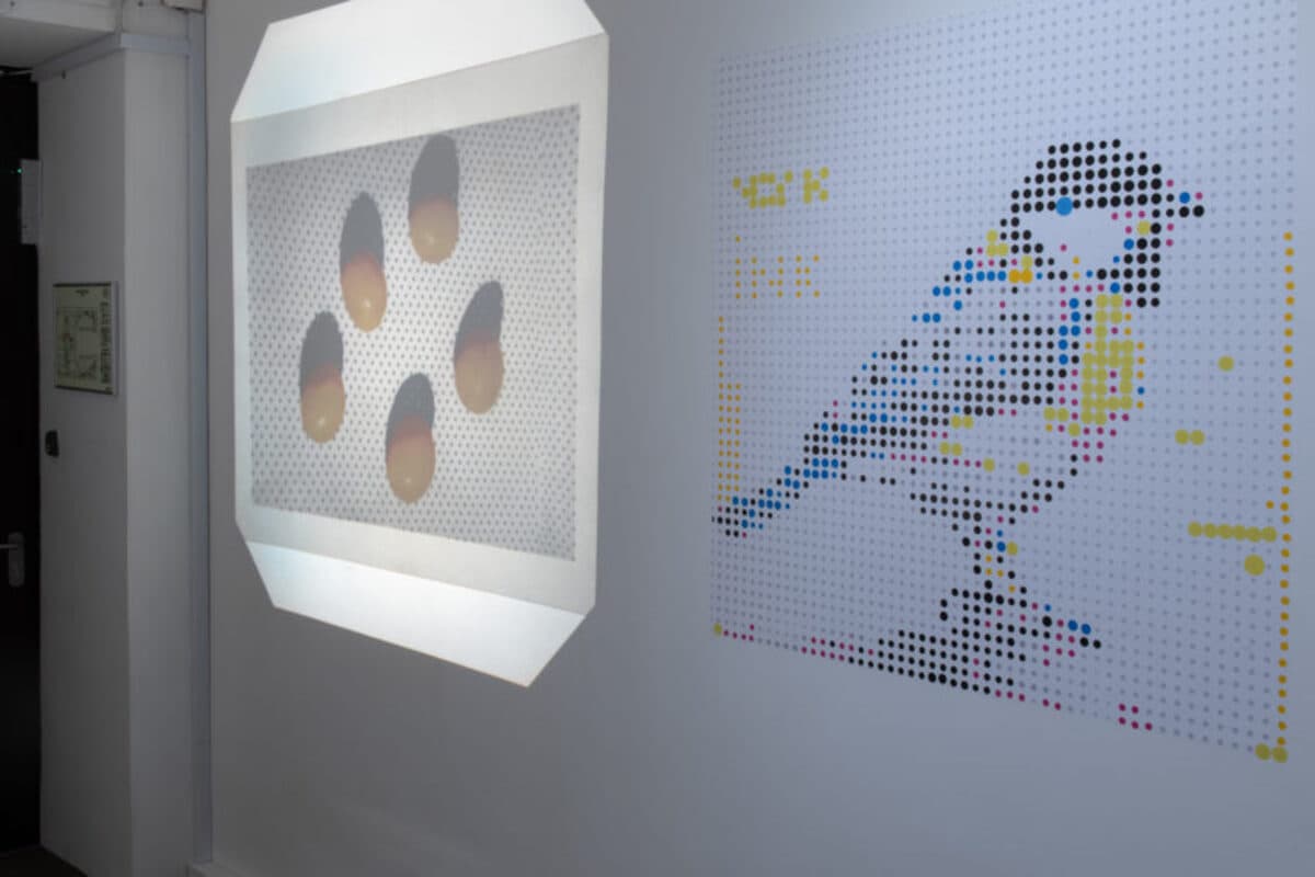 Изобретая цвет (Росфото)