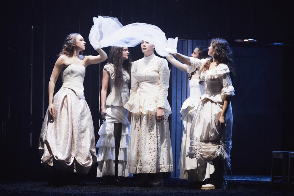 Дубровский (Театр юного зрителя)