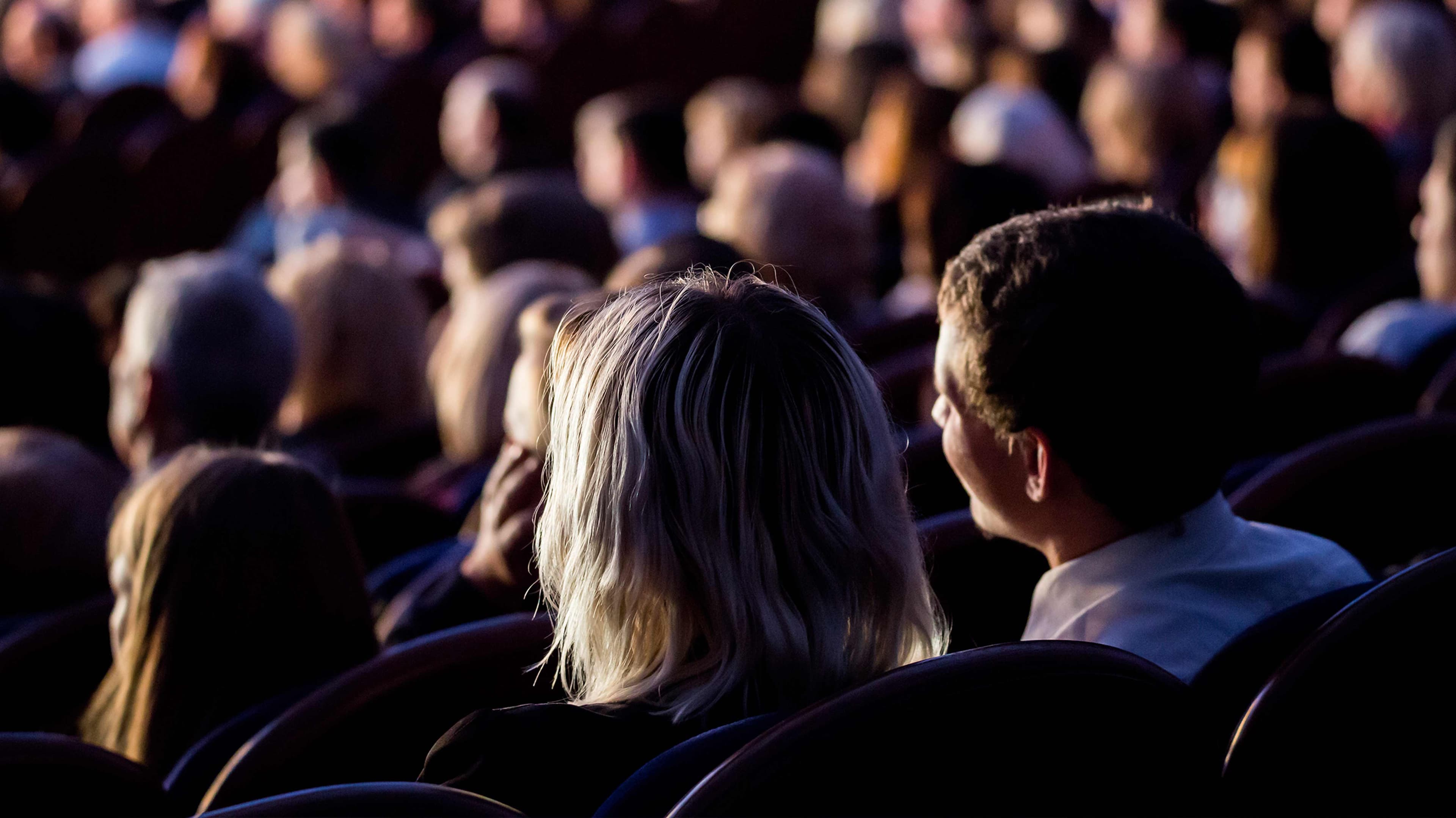 Капитанская дочка. Записки офицера (Драматический театр)