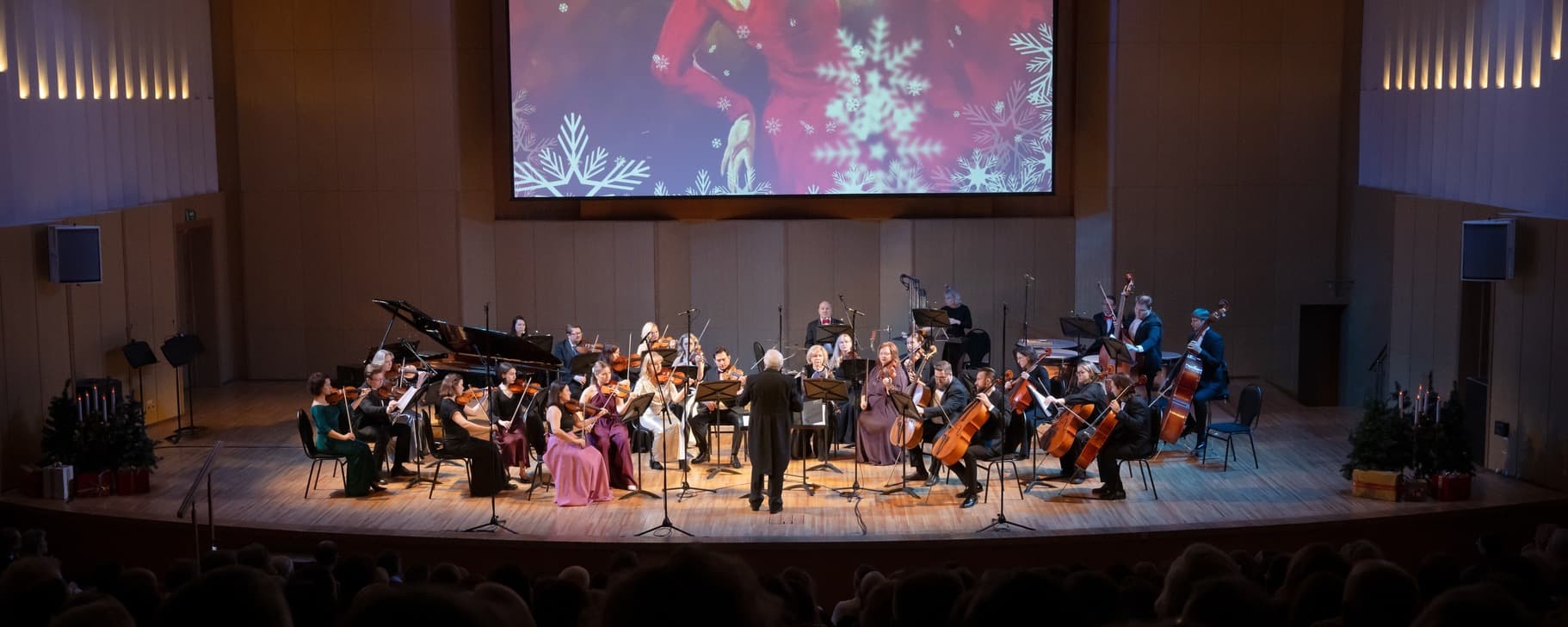 Красноярский камерный оркестр. Концерт-серенада (Филармония. Органный зал)