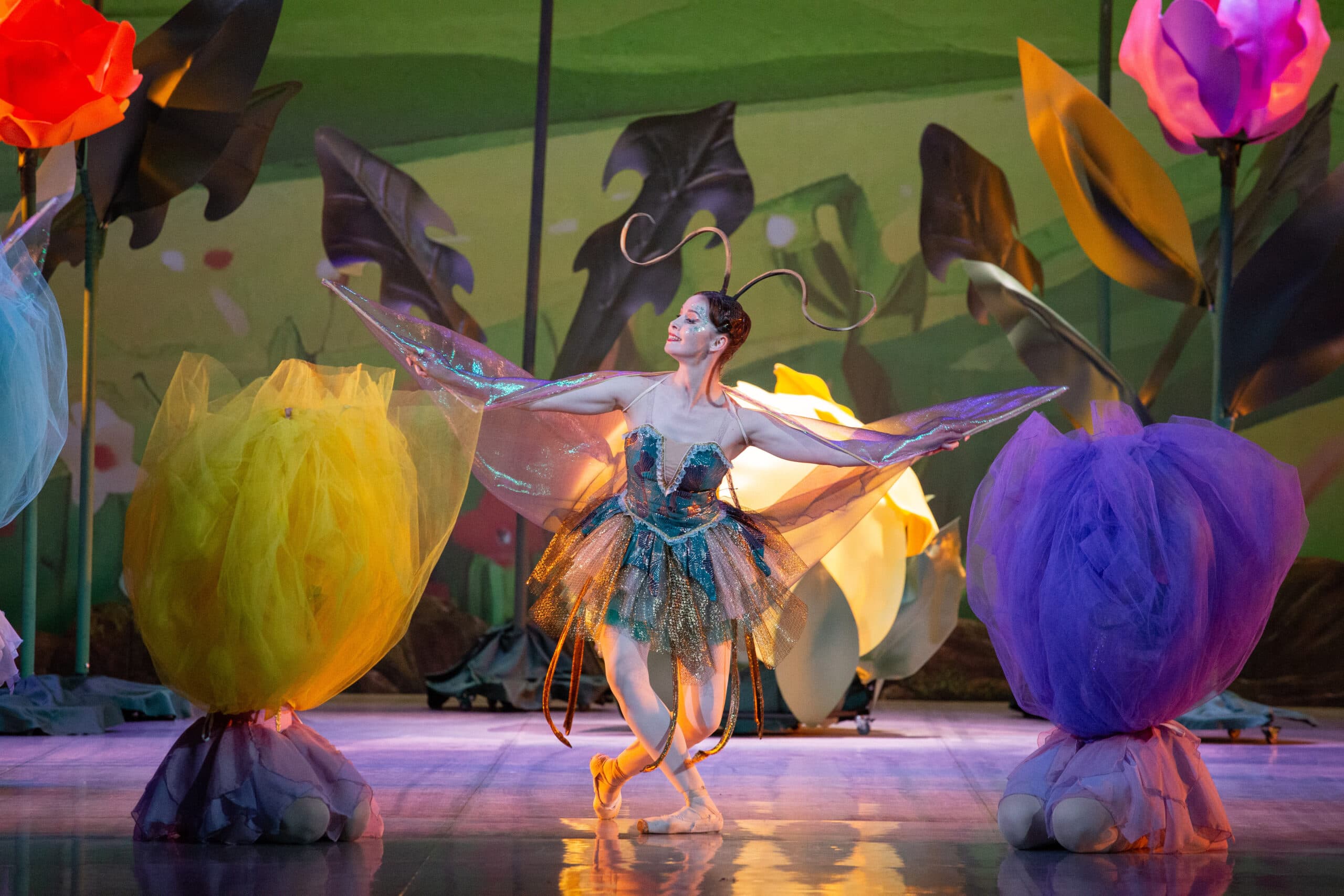 Дюймовочка (Театр оперы и балета им. Цыдынжапова)