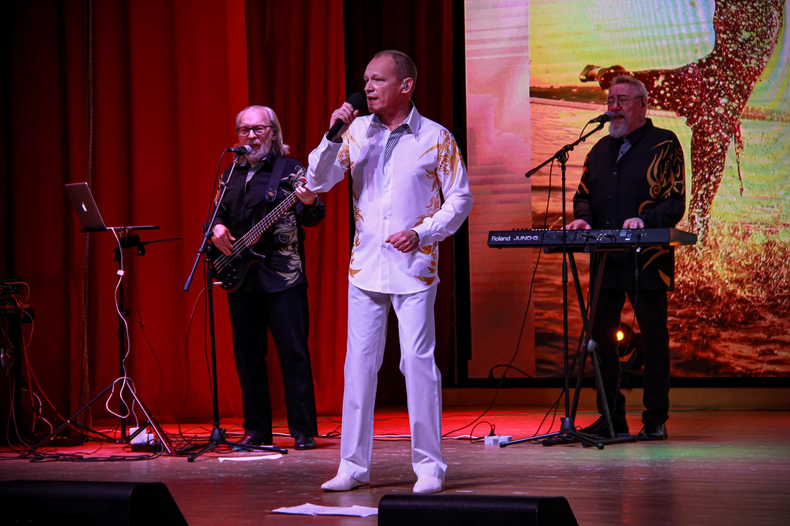 ВИА «Верные сердца» (Губернский)