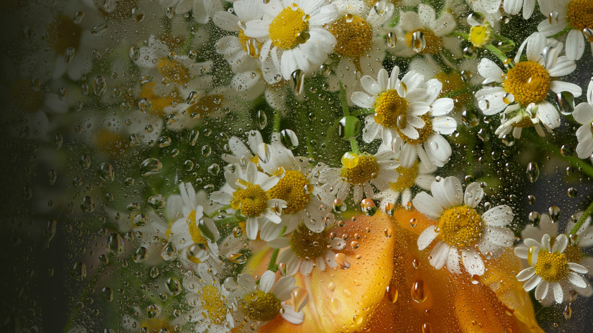 Оркестр «Модерн». Рихтер & Эйнауди: оркестровые эскизы (ДКЖ)