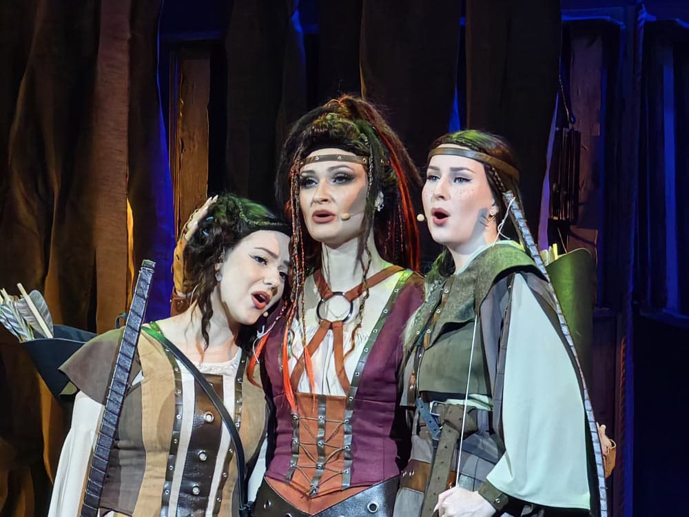 Робин Гуд (Музыкальный театр)