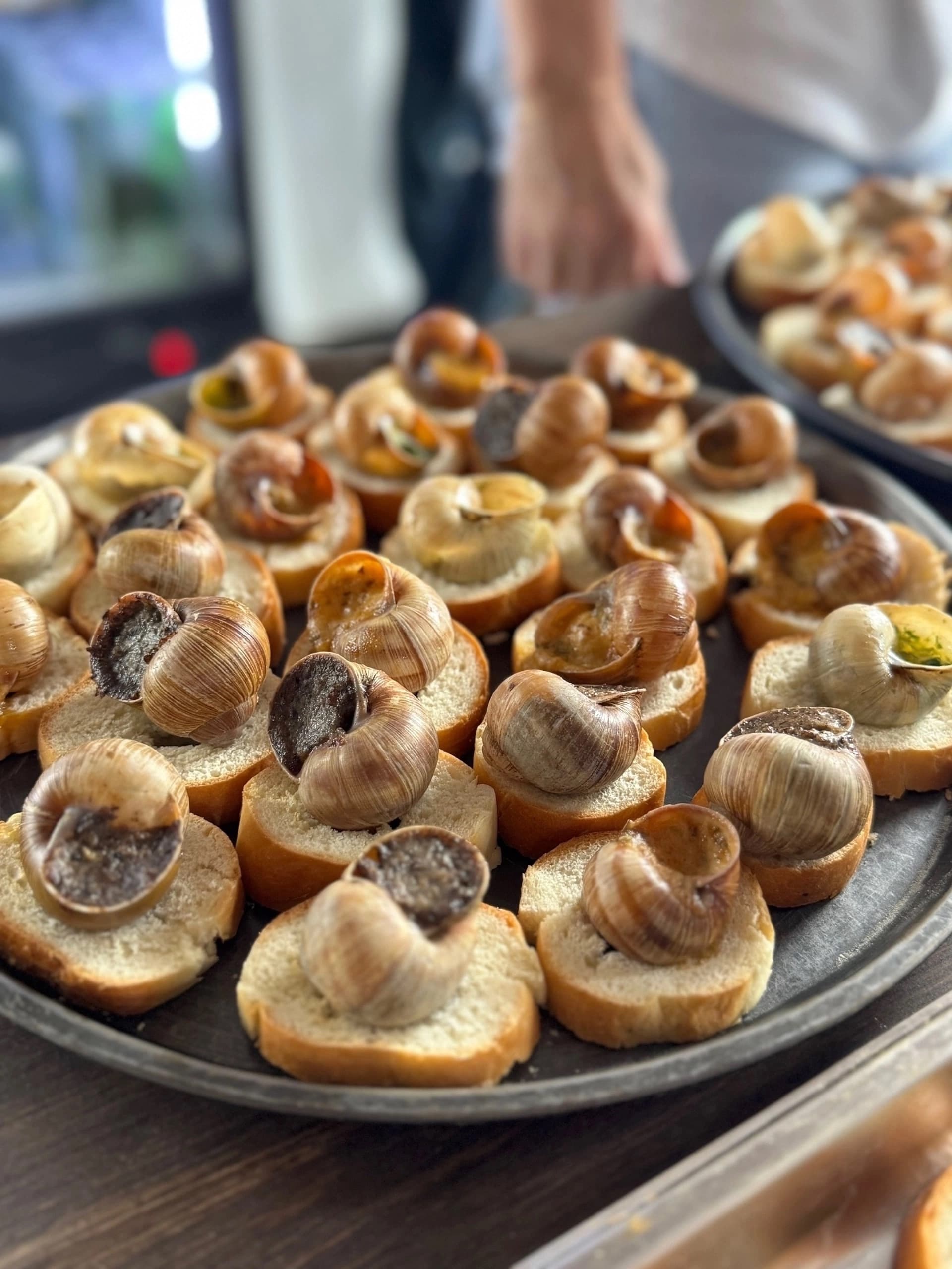 Никуда не спешим (Усадьба Ведрова (Стегаловка))