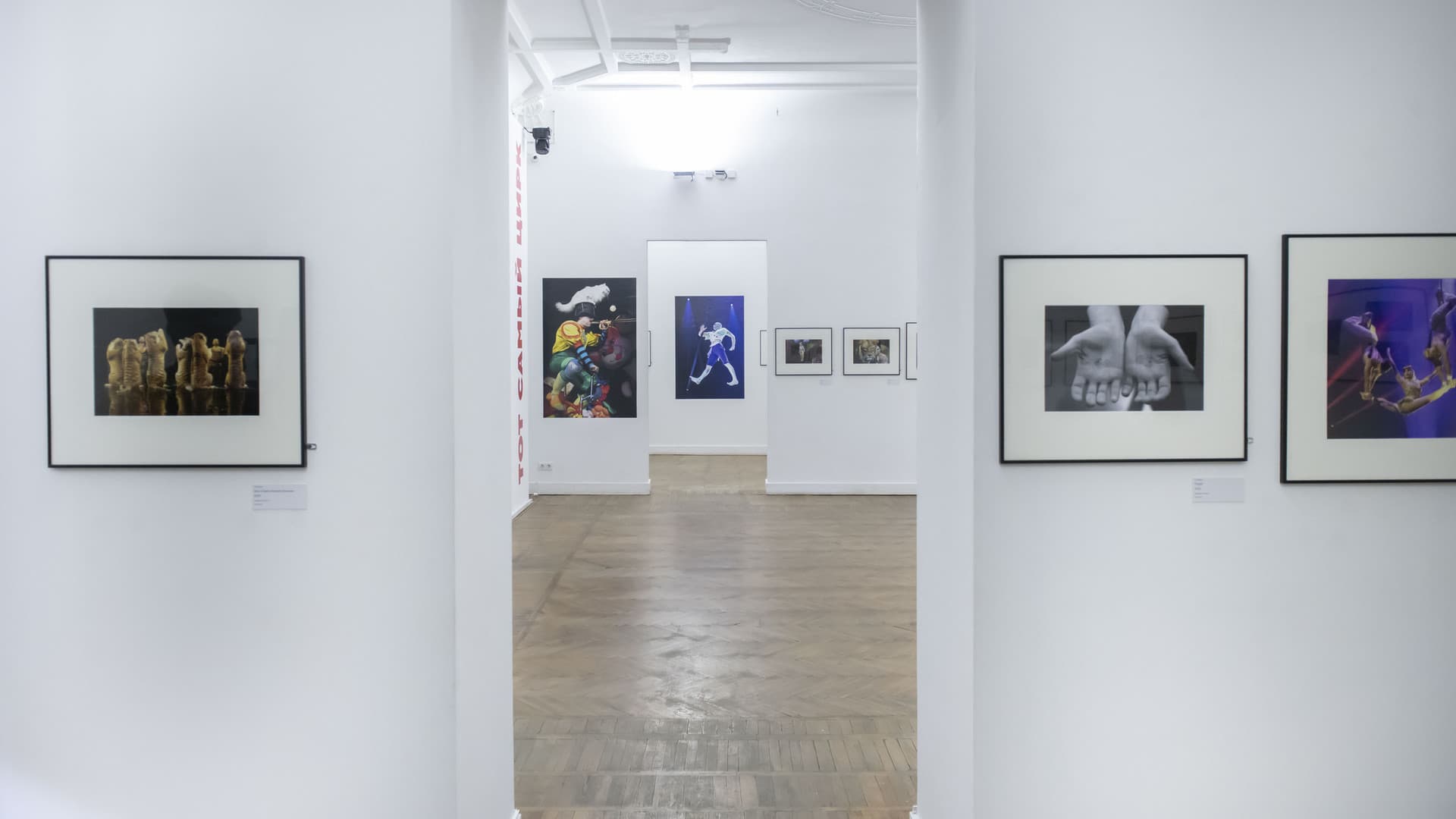 Экскурсия по выставке «Тот самый цирк» (Росфото)