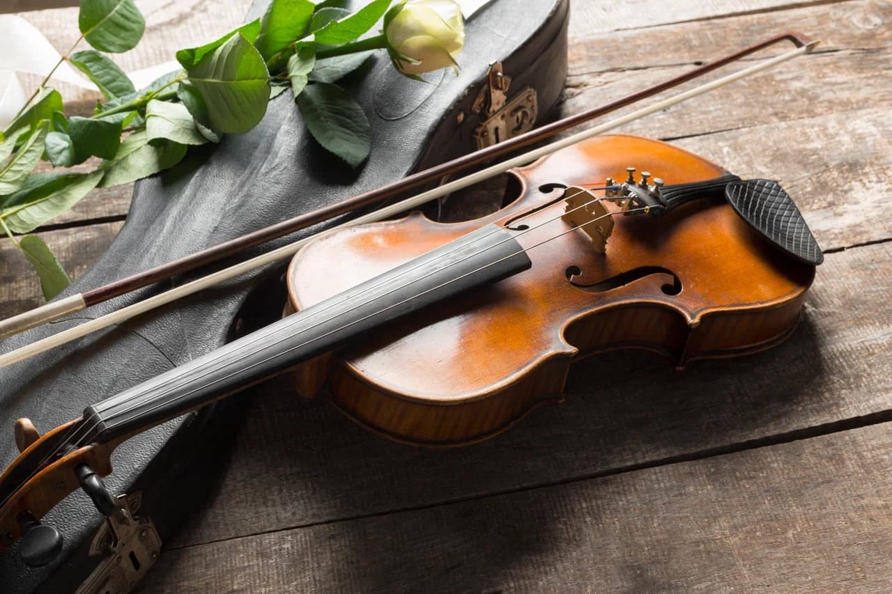 Дарья Назаренко. Оркестр и его солисты (Органный зал)