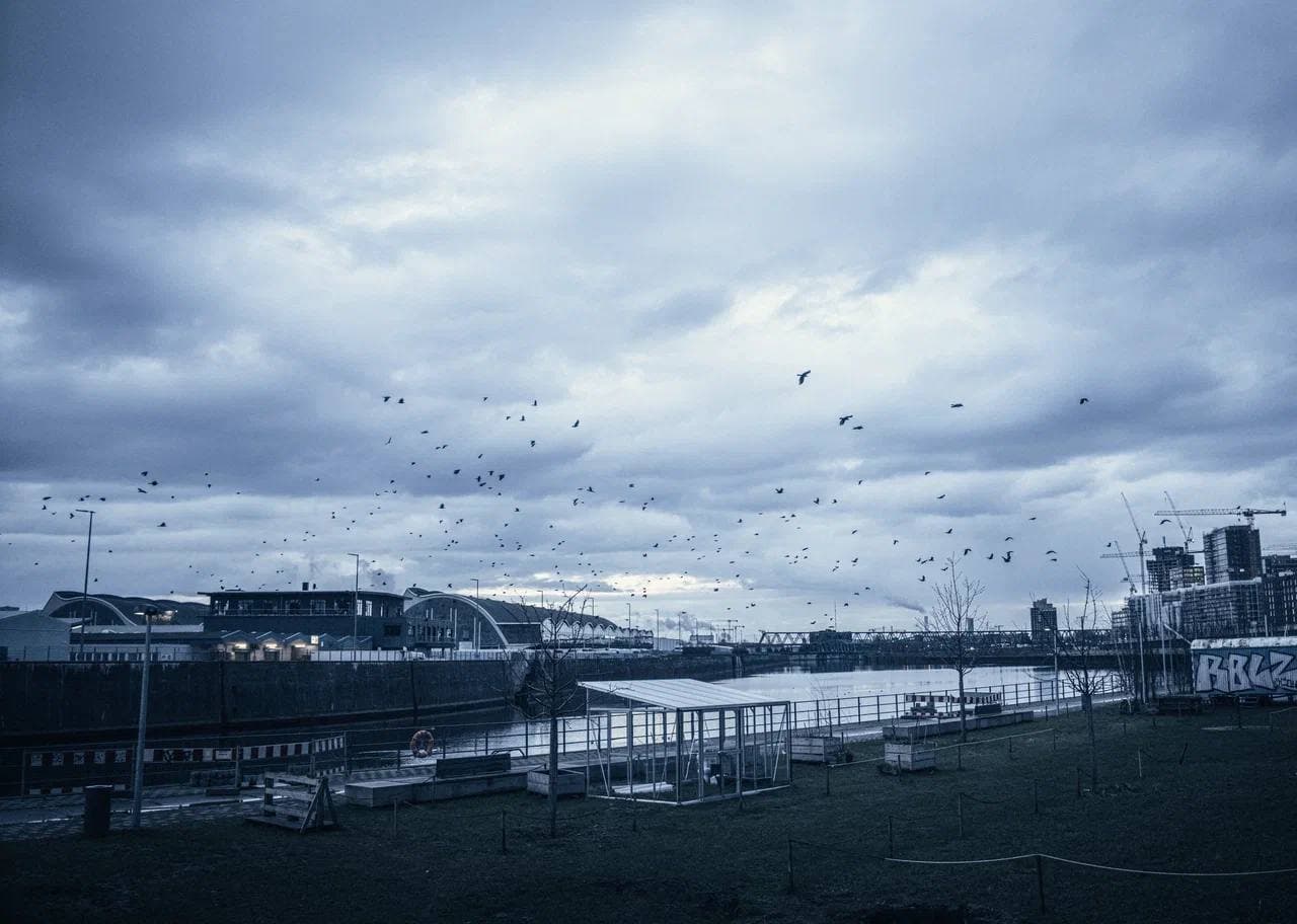 Симпл Мьюзик/Simple Music. Циммер, Арнальдс, Рихтер (Дом Simple Music)