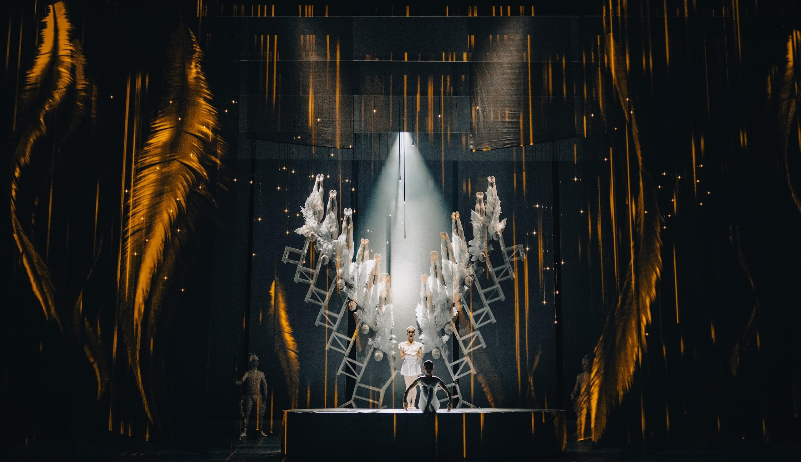 Лебедь (Мариинский-2)