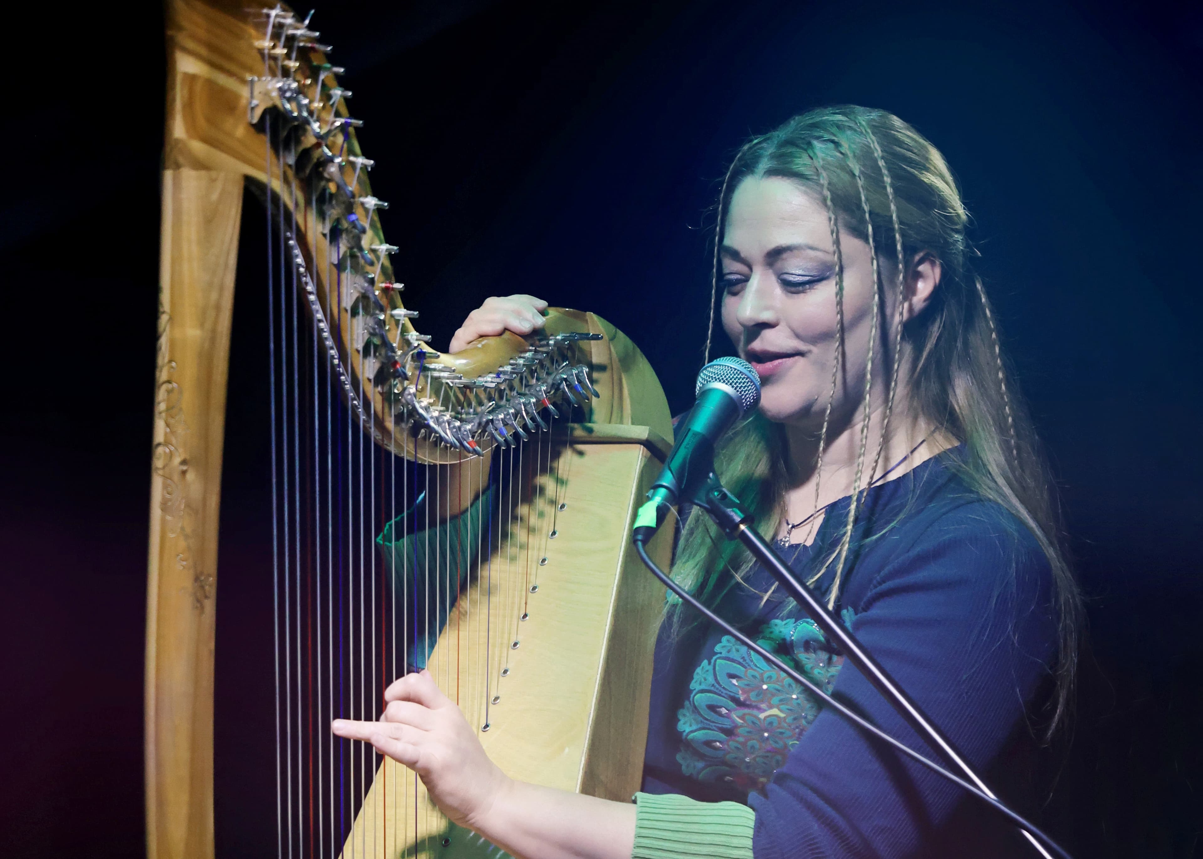 Орган и кельтская арфа (Липецкий дом музыки)