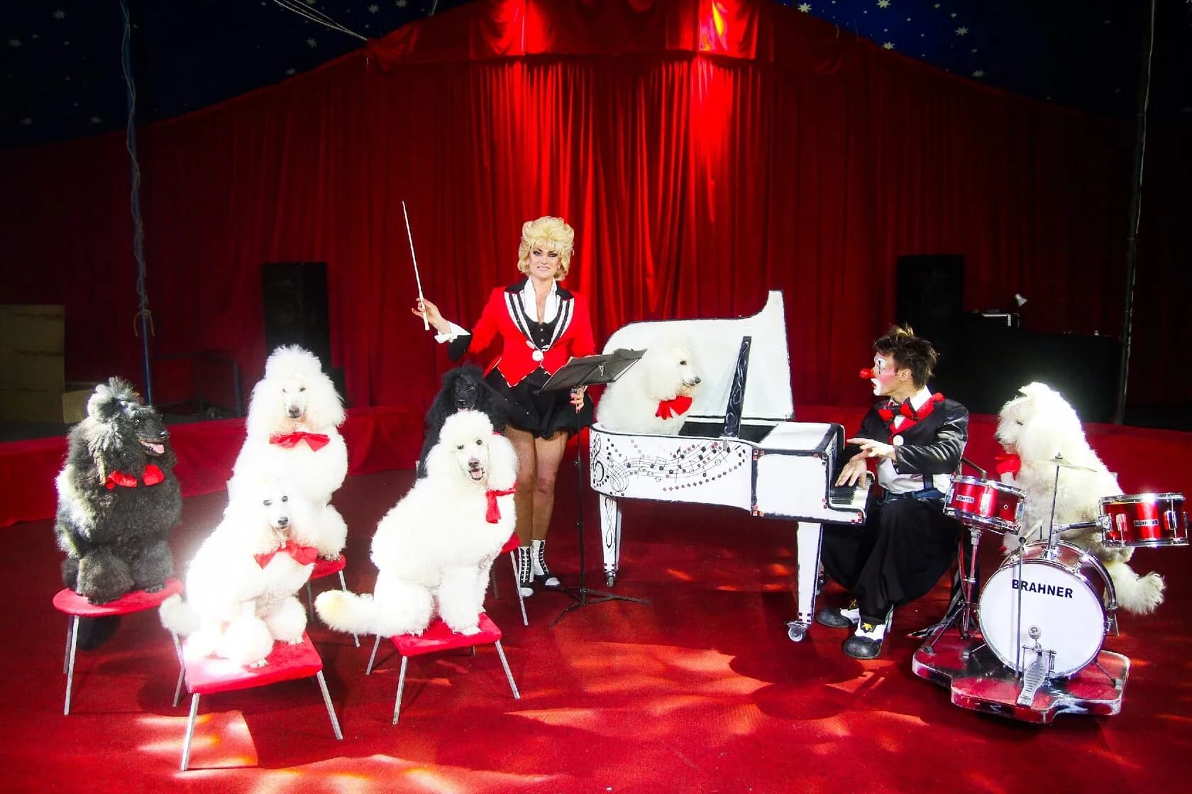 Цирк «Русские мишки» (Цирк-шапито «Каракат»)