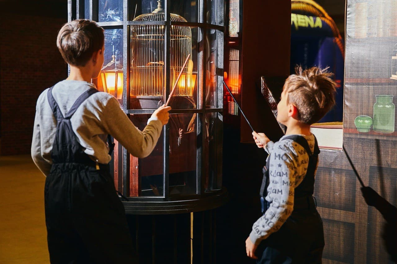 Музей Гарри Поттера. Комбо «Всё включено» (Музей Гарри Поттера)