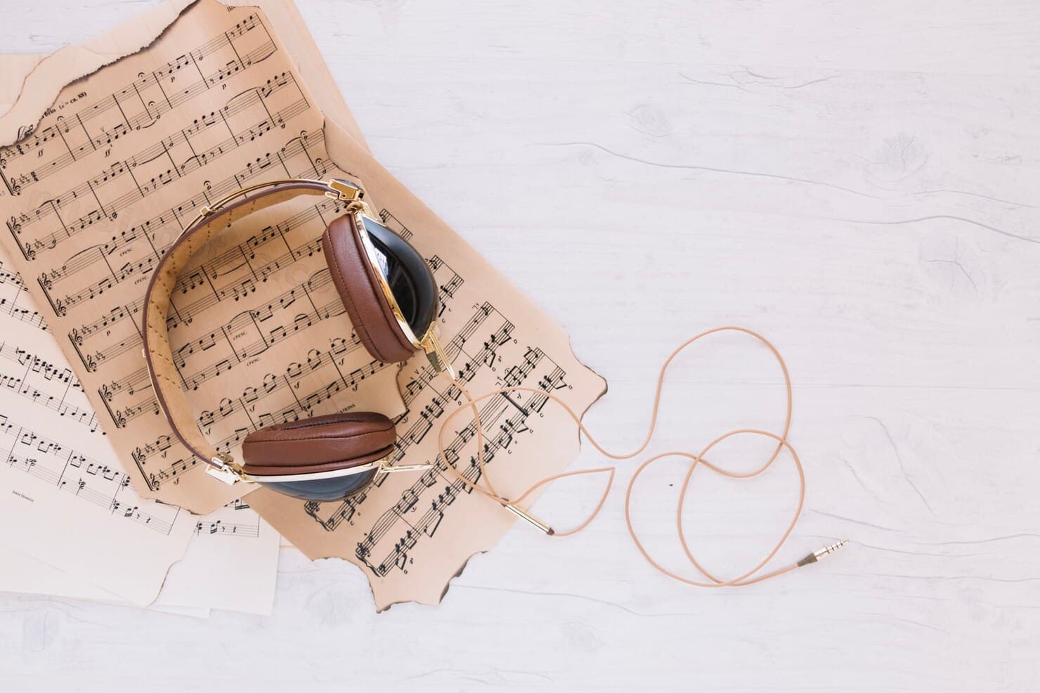 Shot Band (Музкафе)