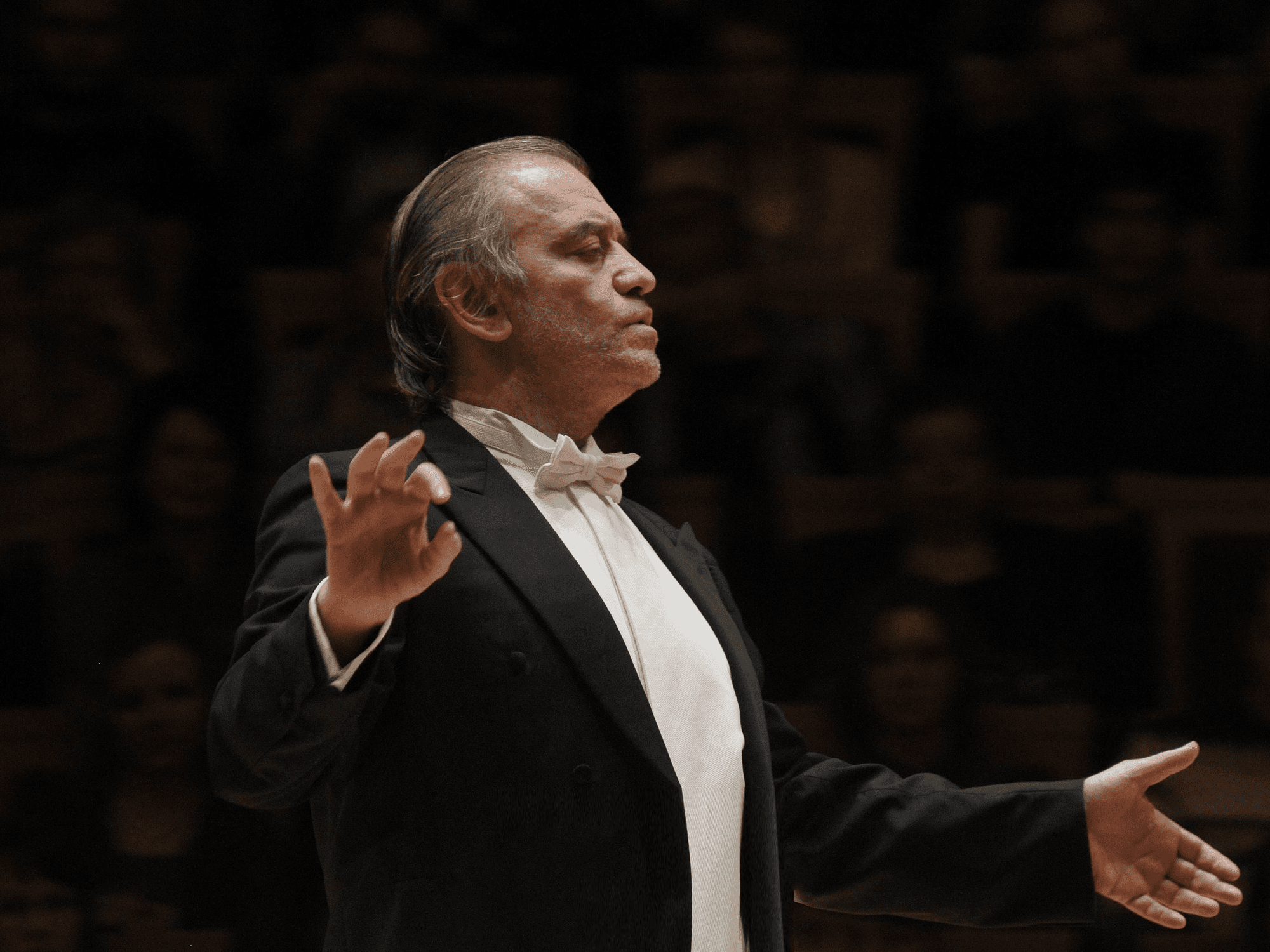 Объединеённый симфонический оркестр МТ и БТ, дирижёр — Валерий Гергиев (Зарядье)