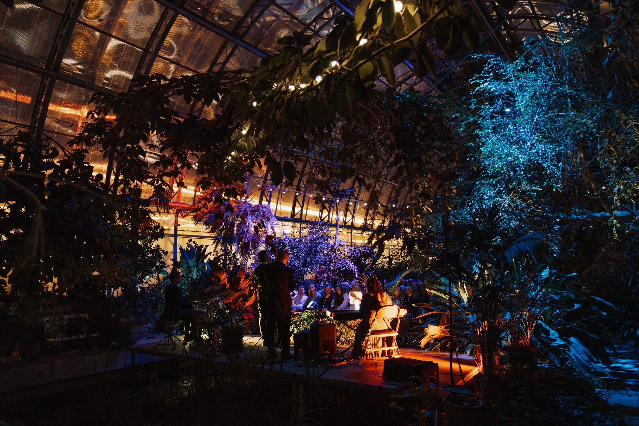 Магия свечей. «Джаз и танго» в оранжерее (Оранжерея Таврического сада)