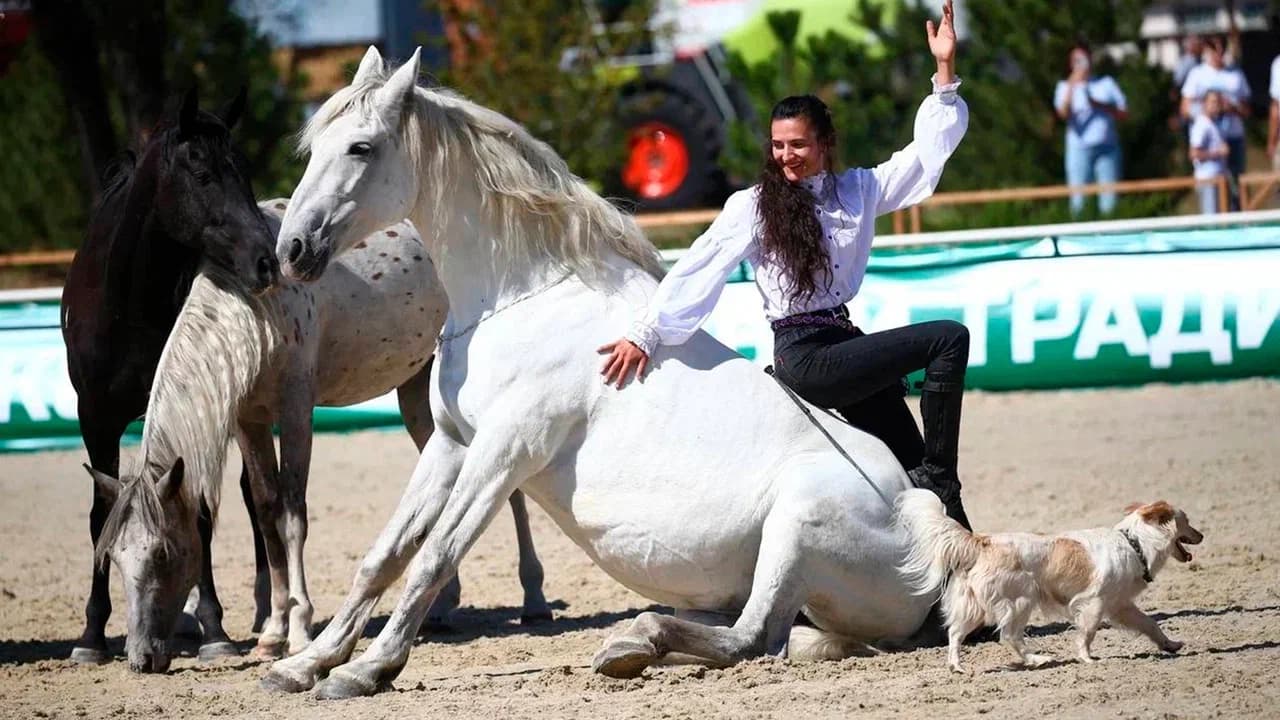 От коня до комбайна (Кировский конный завод (Вороново))