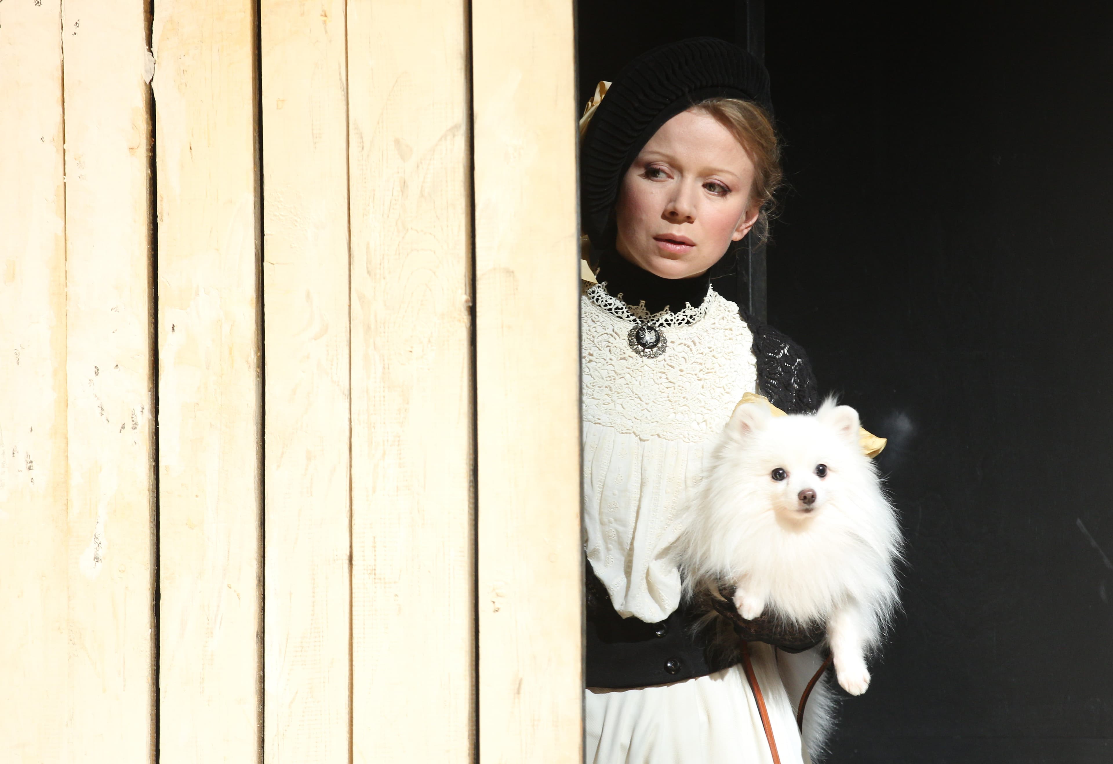 Дама с собачкой (БДТ им. Г. А. Товстоногова)