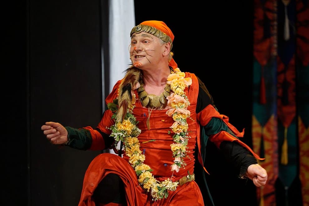 Сказание о Рикки-Тикки-Тави в девятнадцати песнях (Зазеркалье)