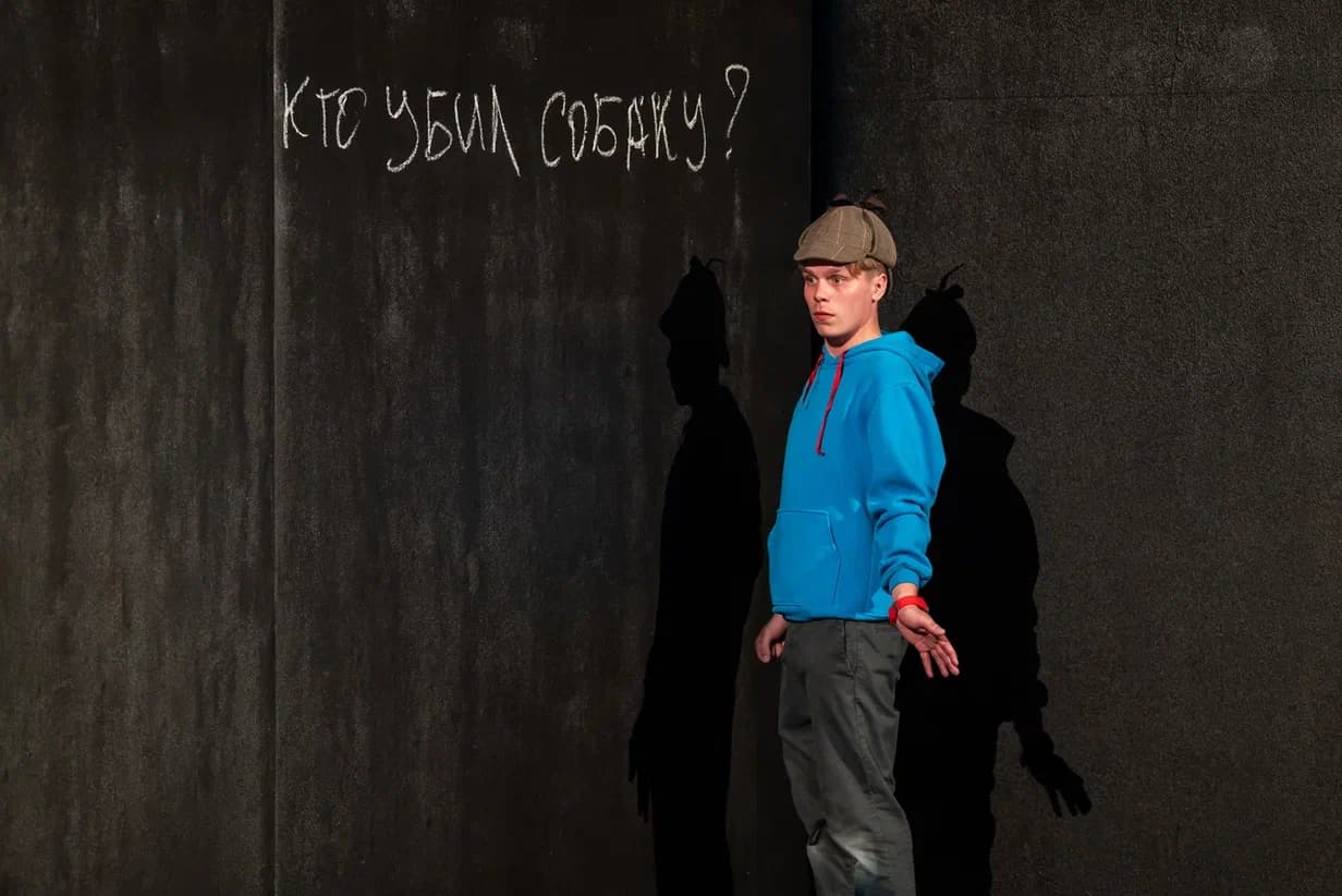 Загадочное ночное убийство собаки (Современник)