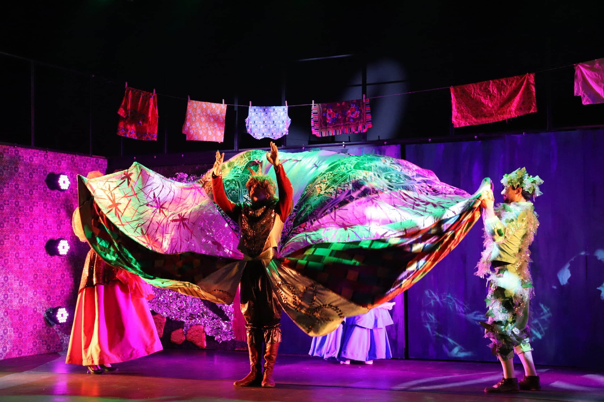 Чёрная курица (Молодёжный театр «ВДТ» (Волжский))