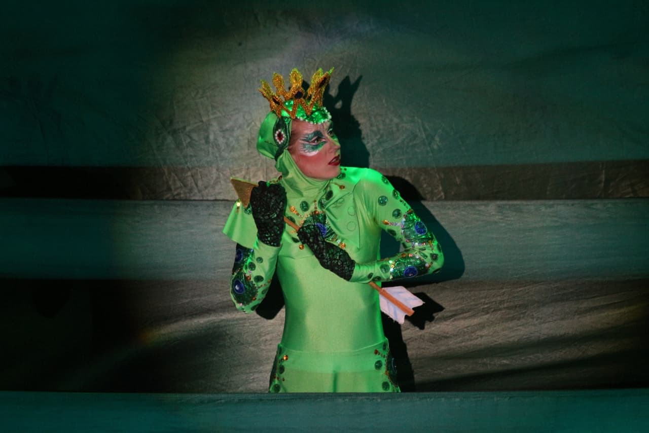 Сказка о Василисе Прекрасной, или Царевна-лягушка (На Неве)