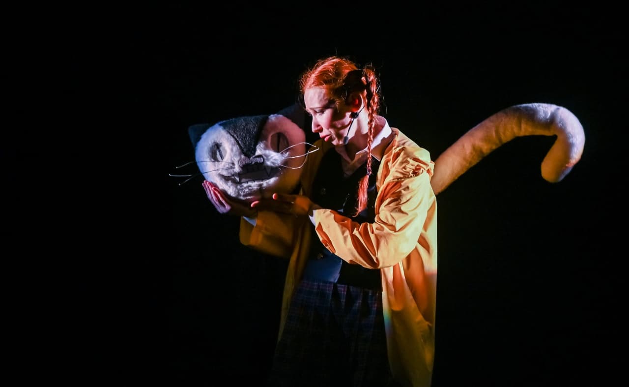 Страна чудес Алисы (Экият)