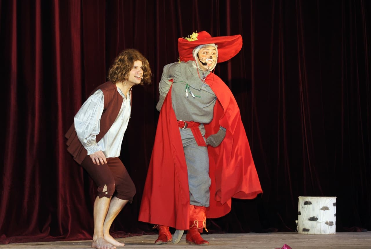 Кот в сапогах (Зазеркалье)