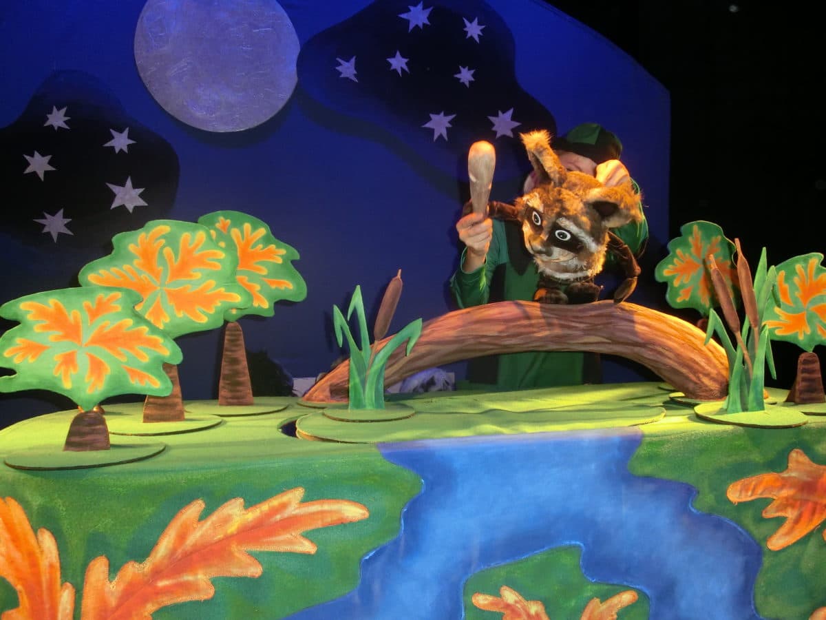 Крошка Енот и тот, кто сидит в пруду (Театр кукол «Пьеро»)