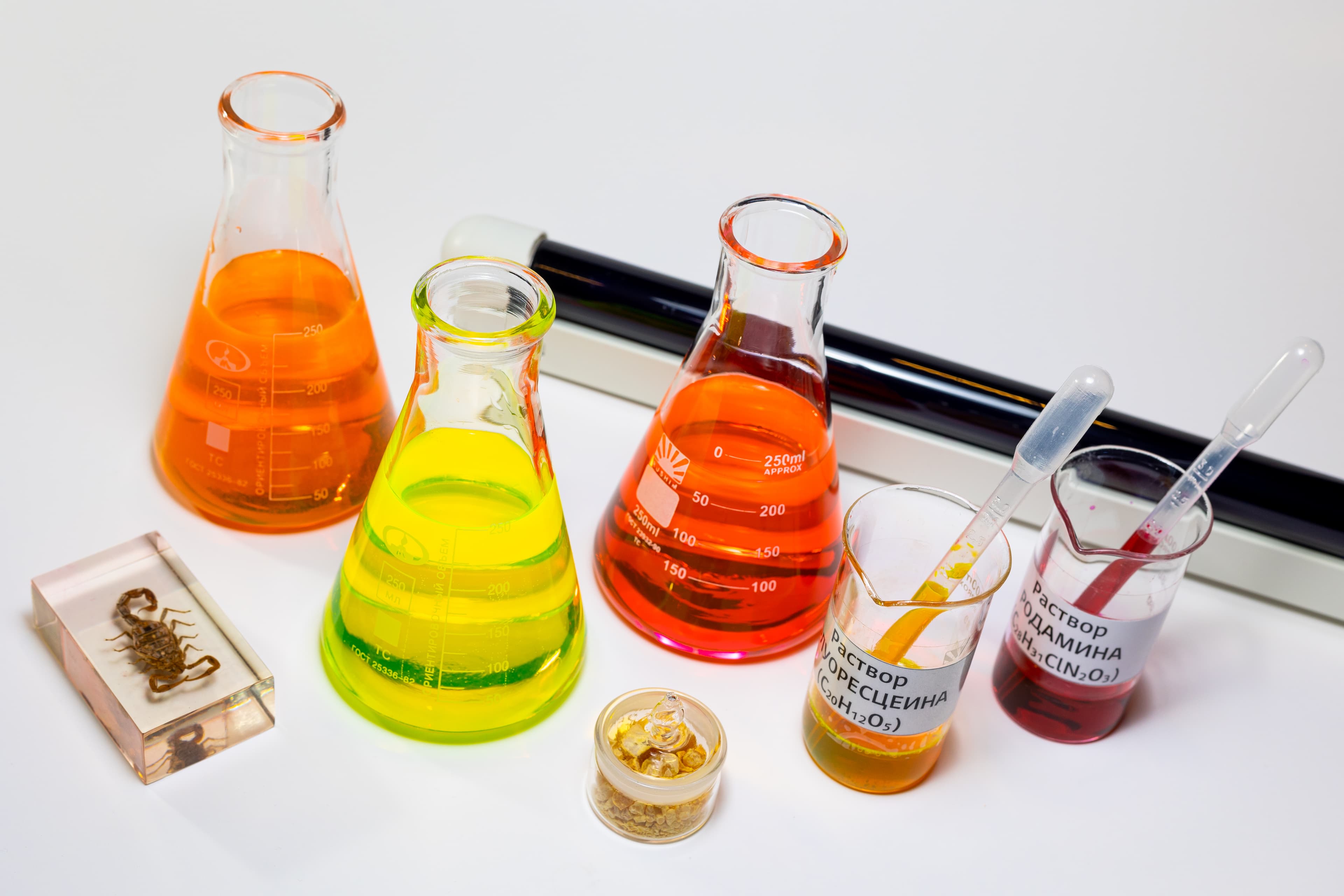 Почему светятся медузы? (Зарядье)