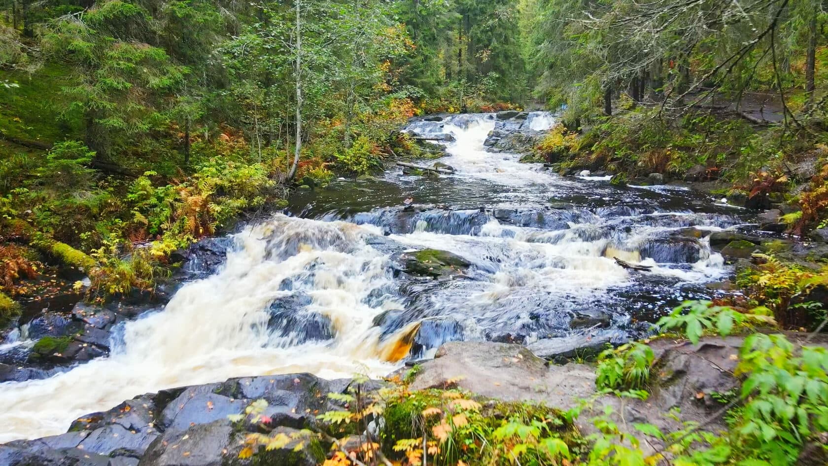 Природные сокровища Карелии: четыре водопада и однодневное плавание на ладье среди ладожских шхер (Улица Казанская, 2)