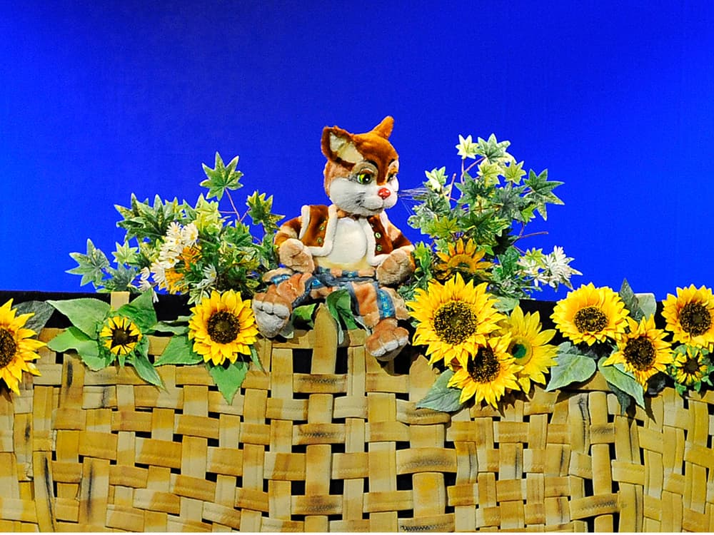 Котофей Иванович (Арлекин)