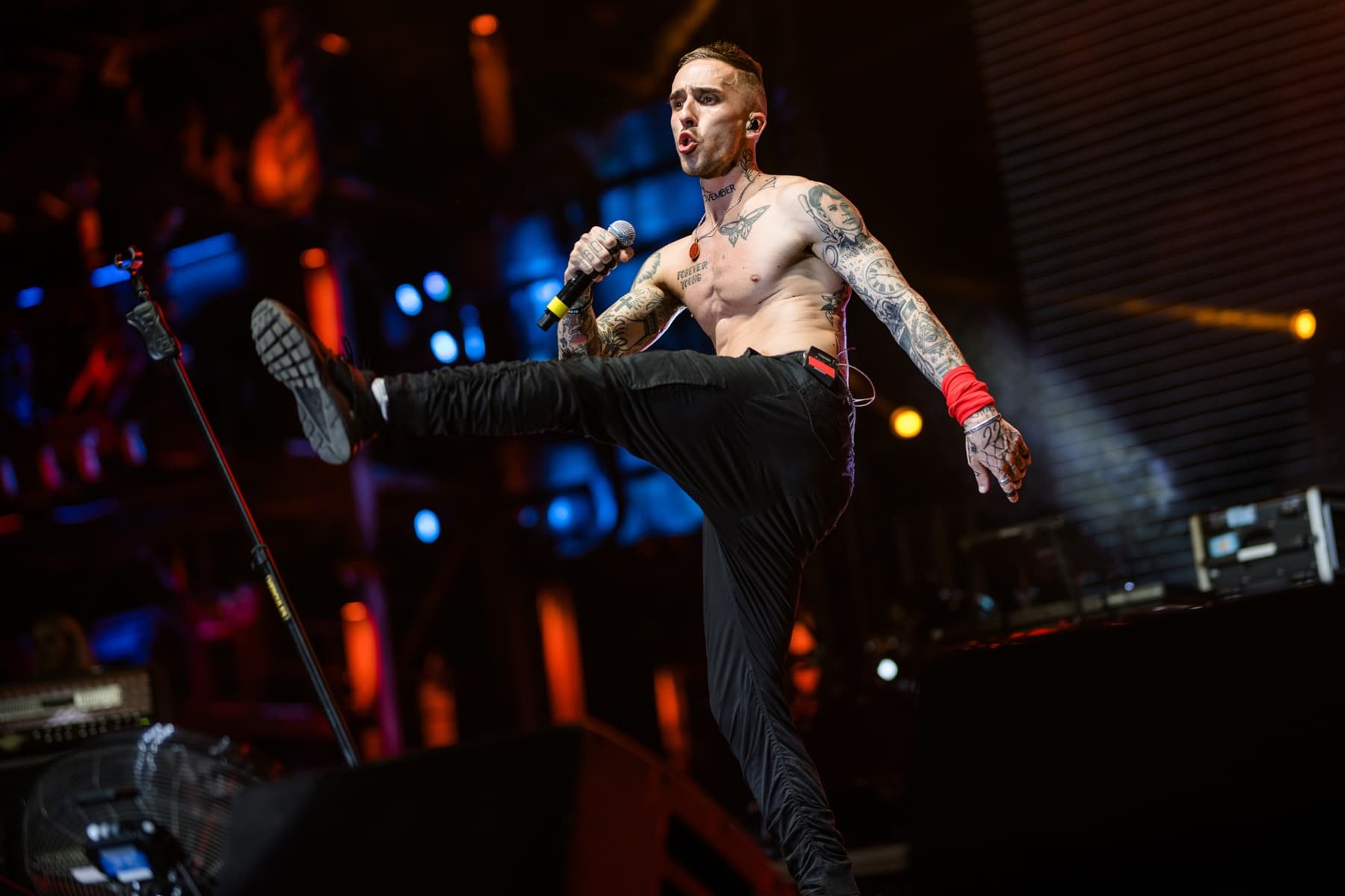 Мэйти (Дизайн-завод)