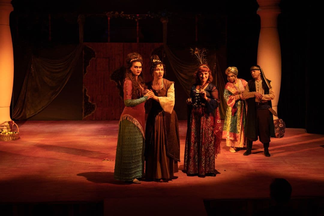 Комедия ошибок (Молодёжный театр «ВДТ» (Волжский))