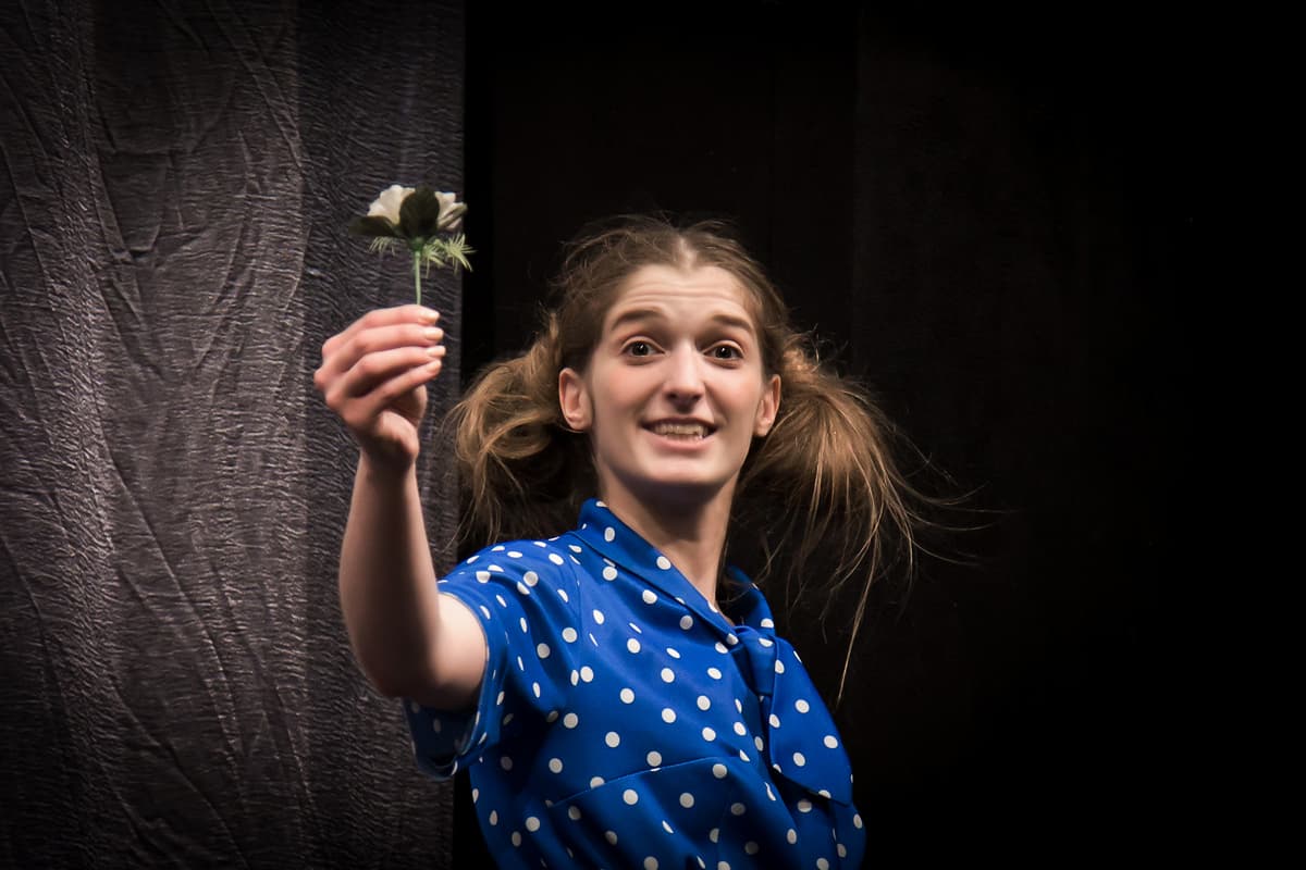 Цветик-семицветик (Эрмитаж)