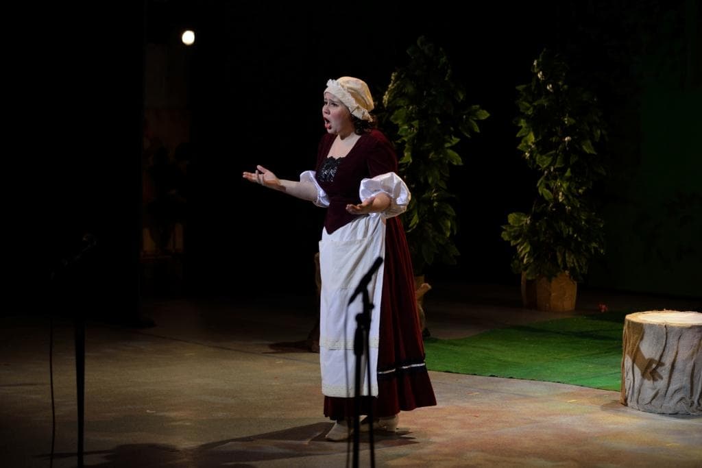 Красная Шапочка (Царицынская опера)