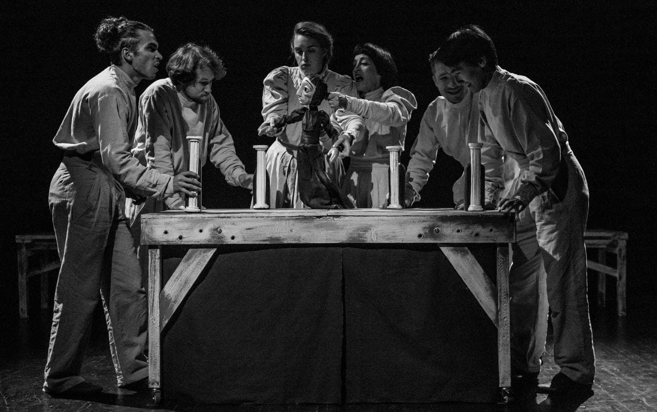 Чайка (Малый театр кукол)