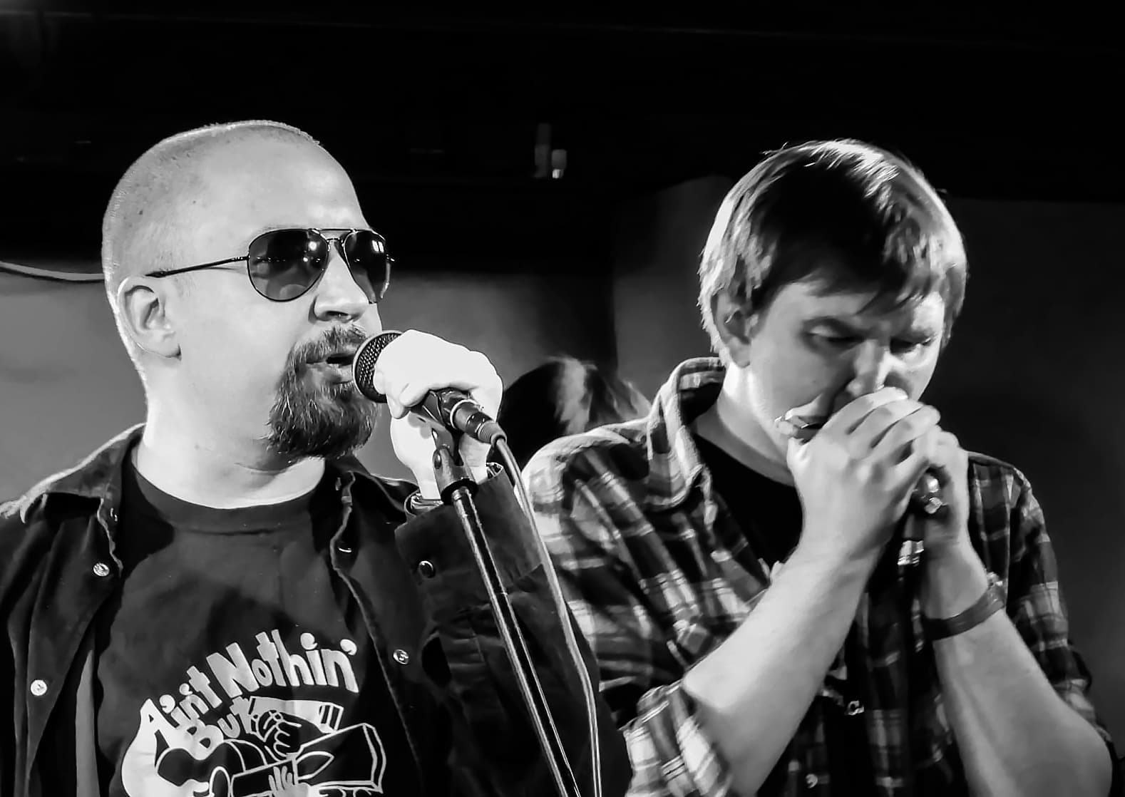 Travelling Acoustic Trio. Акустический блюз (EverJazz)