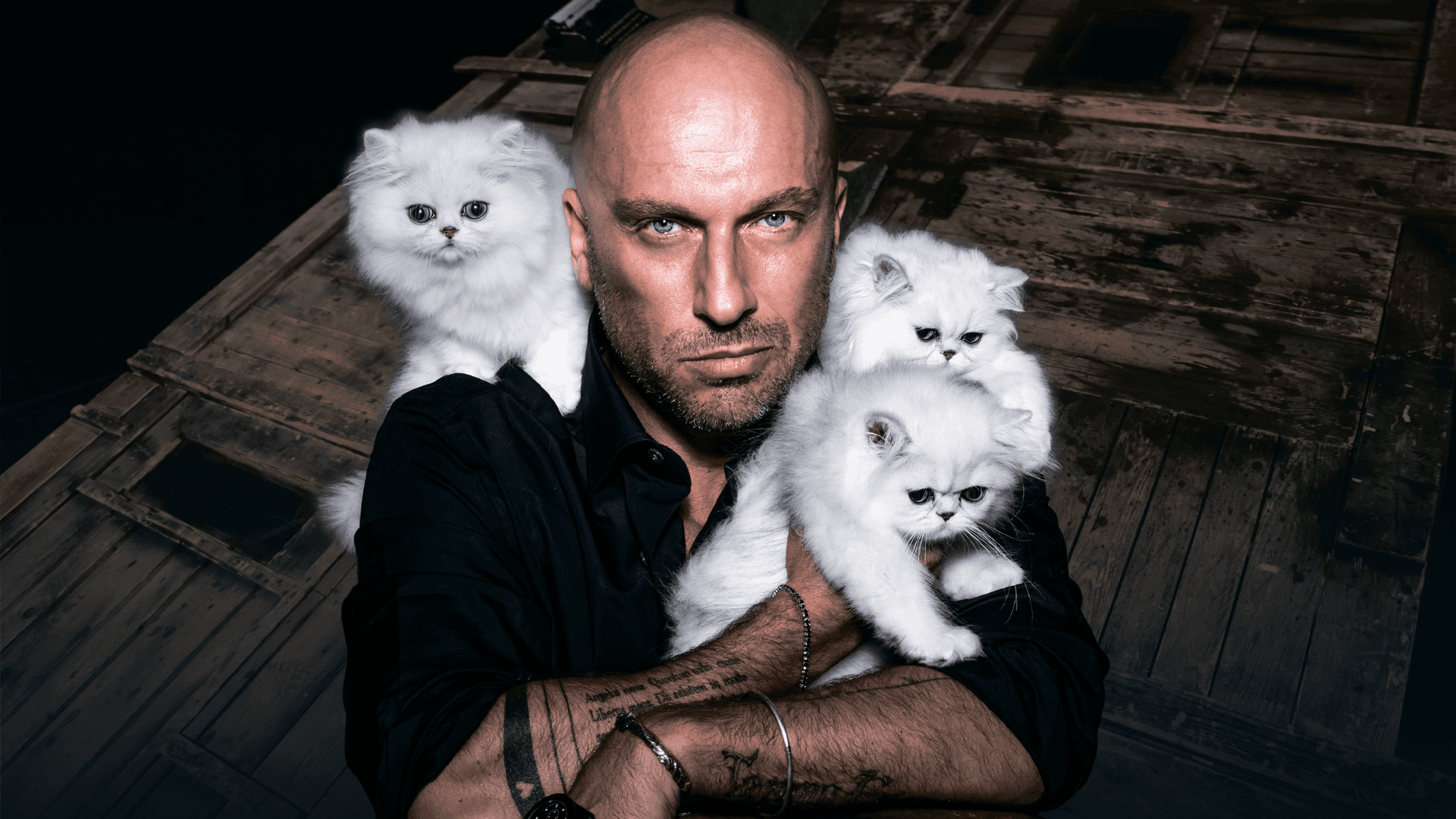 Кыся (ДК им. Ленсовета)