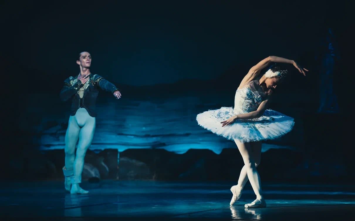 Лебединое озеро (Драматический театр им. Кирова)