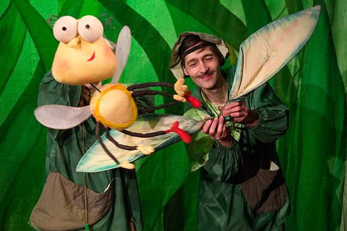 Муха-Цокотуха (Бродячая собачка)