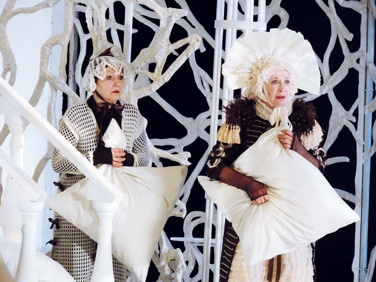 Сумасшедшая любовь в селе Степанчиково (Театр драмы им. Горького)