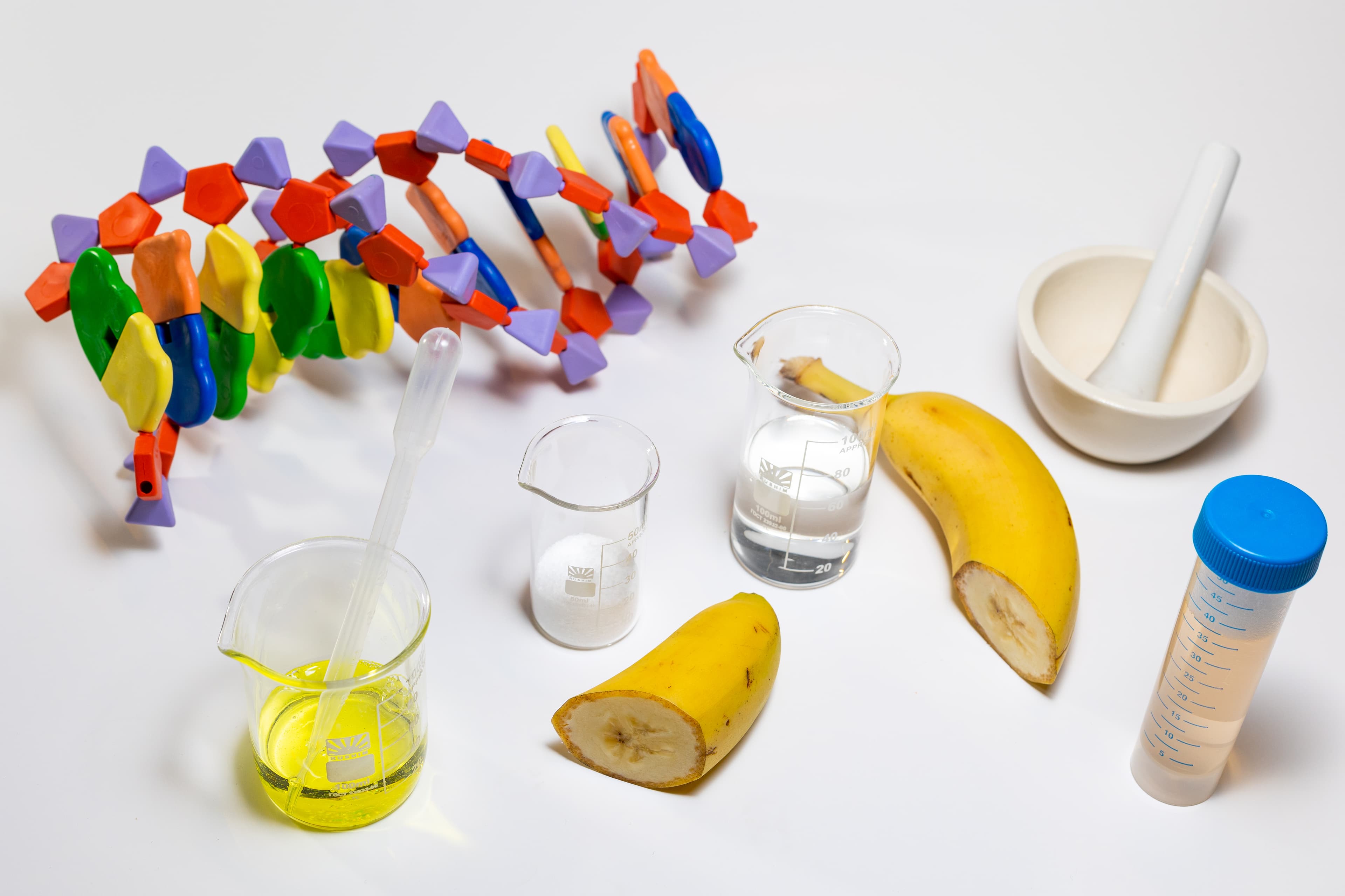 Что такое ДНК? (Зарядье)