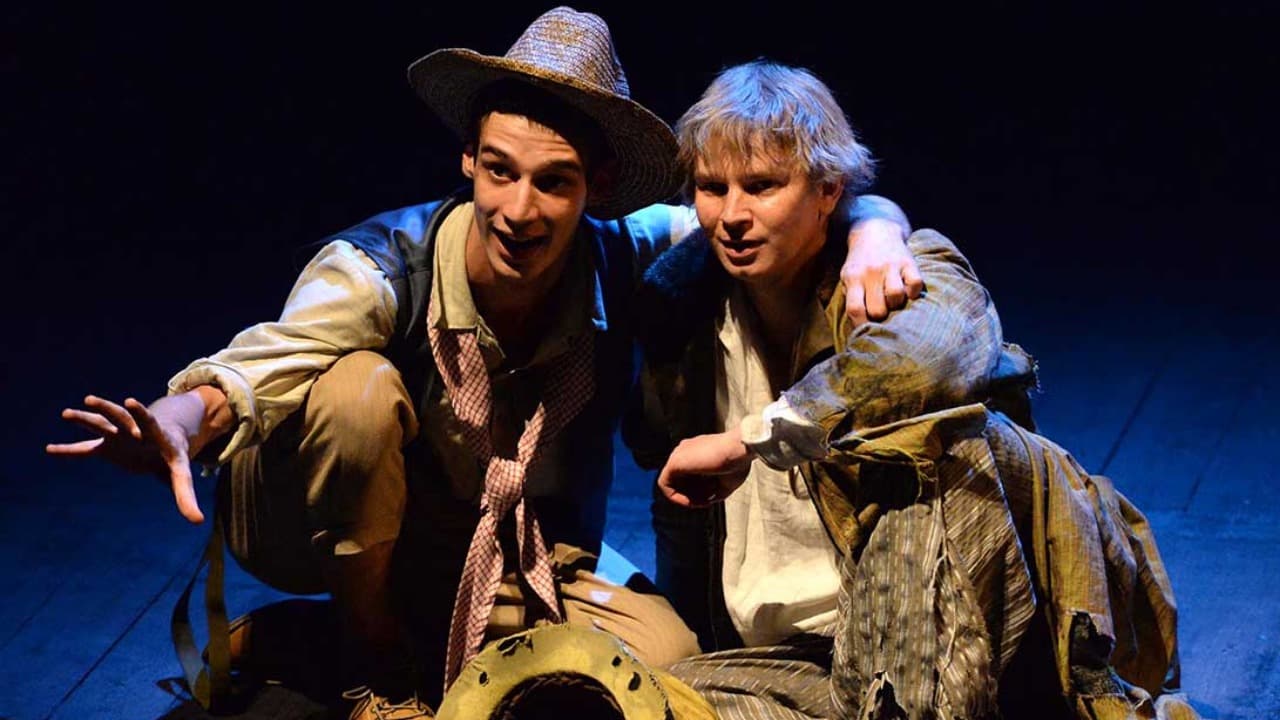 Том Сойер (ТЮЗ им. Брянцева)